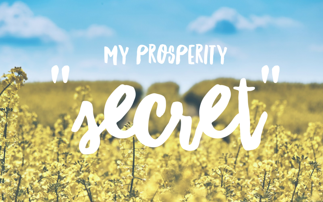 My Prosperity Secret