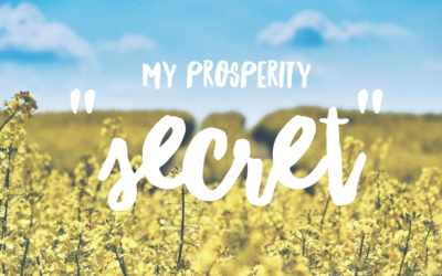 My Prosperity “Secret” ;-)