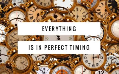 Everything Is In Perfect Timing